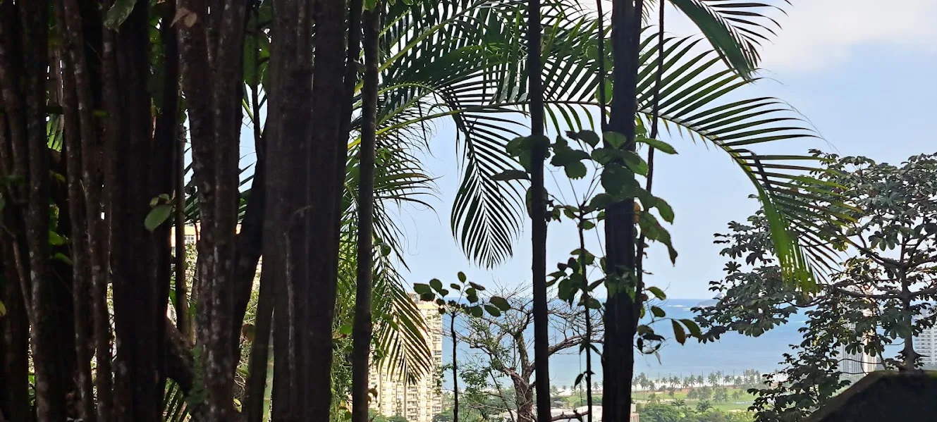 Vista para o mar a partir da casa na Rua São Leobaldo, em São Conrado